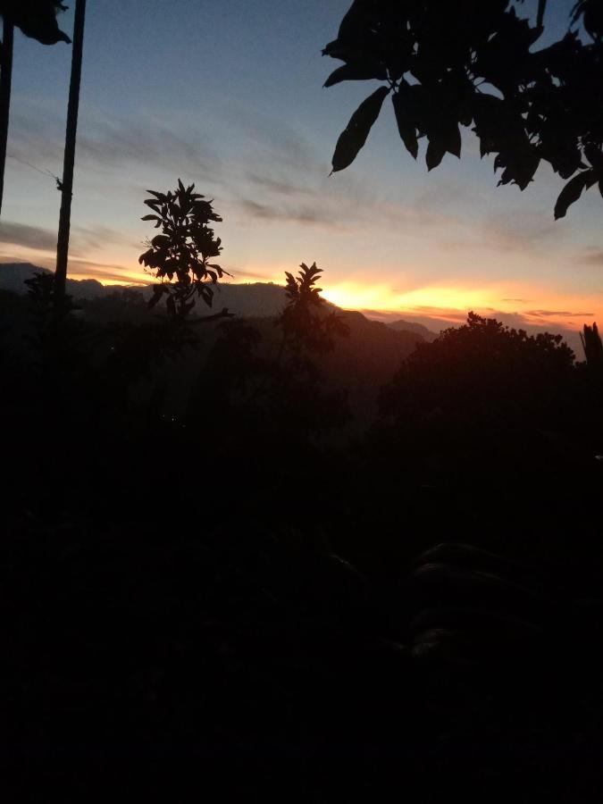 Charming View Homestay Ella Esterno foto