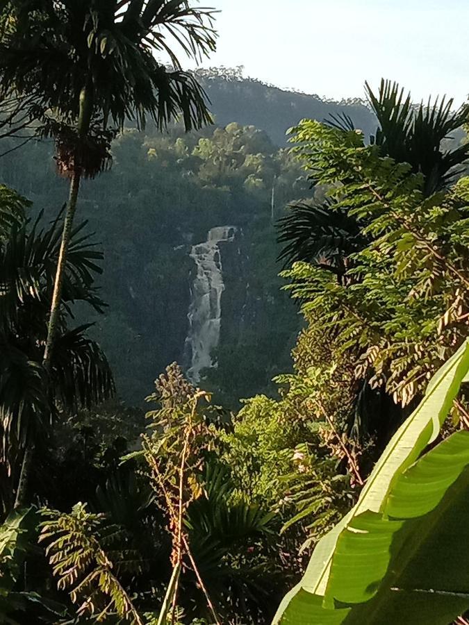 Charming View Homestay Ella Esterno foto
