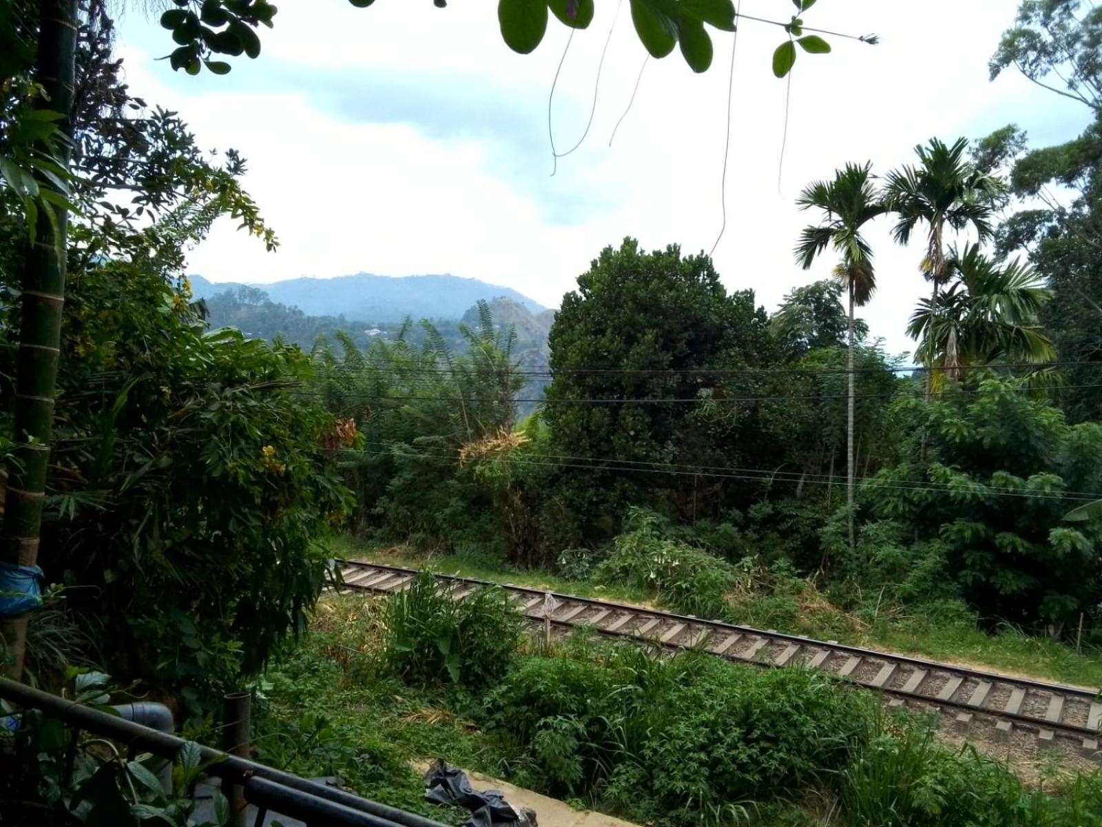 Charming View Homestay Ella Esterno foto