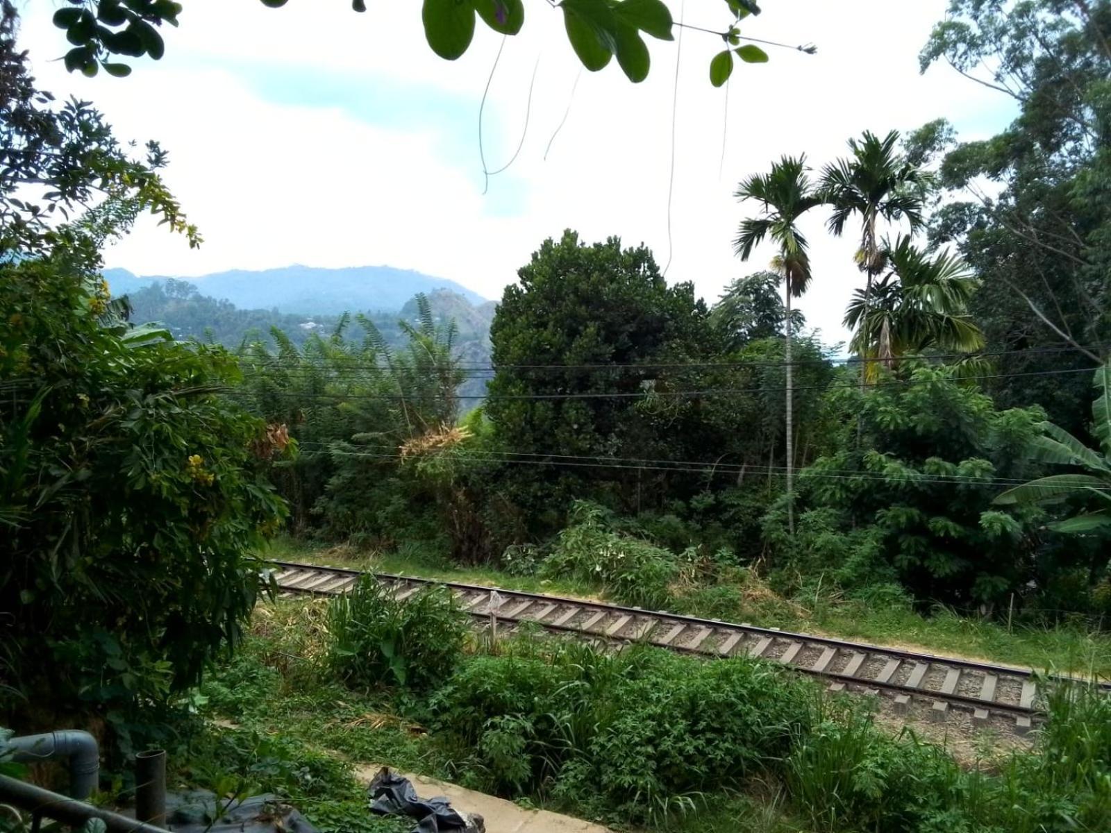 Charming View Homestay Ella Esterno foto