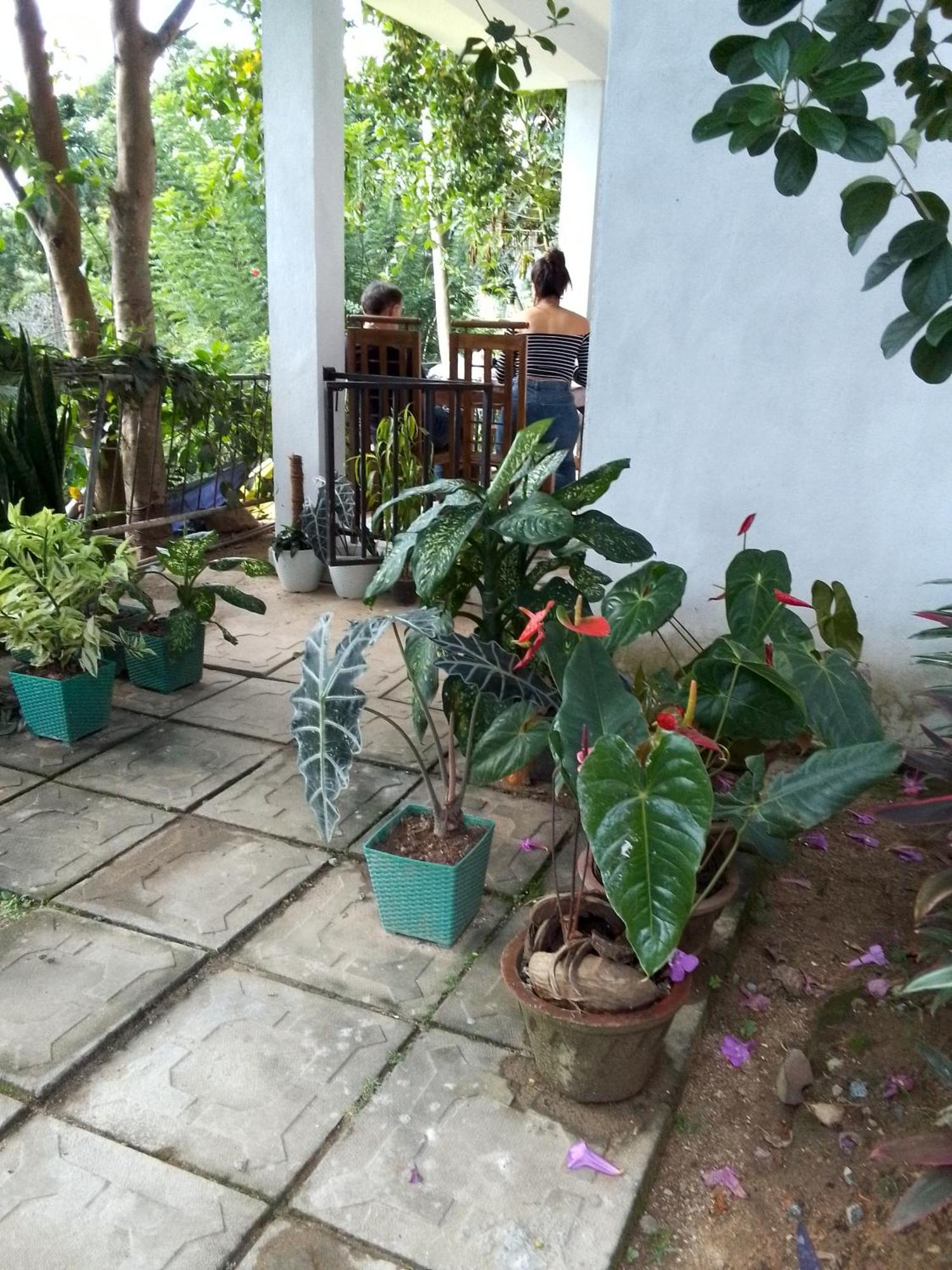 Charming View Homestay Ella Camera foto