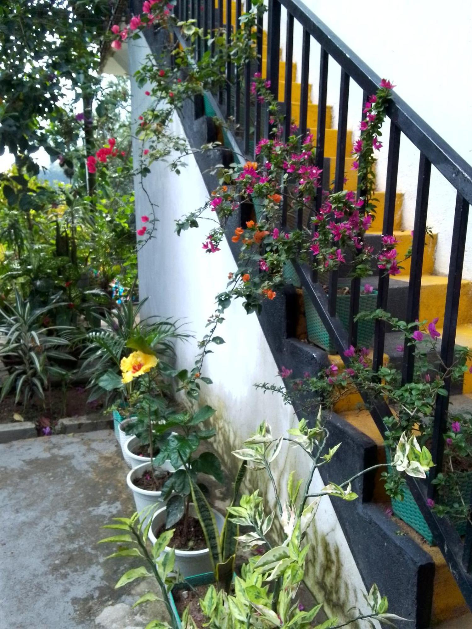 Charming View Homestay Ella Esterno foto
